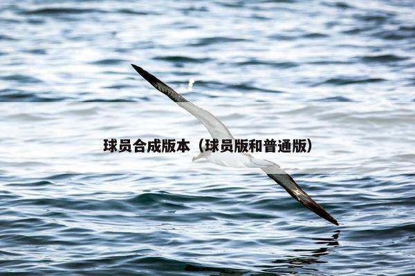 球员合成版本（球员版和普通版）