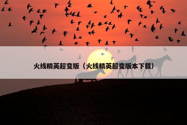 火线精英超变版（火线精英超变版本下载）