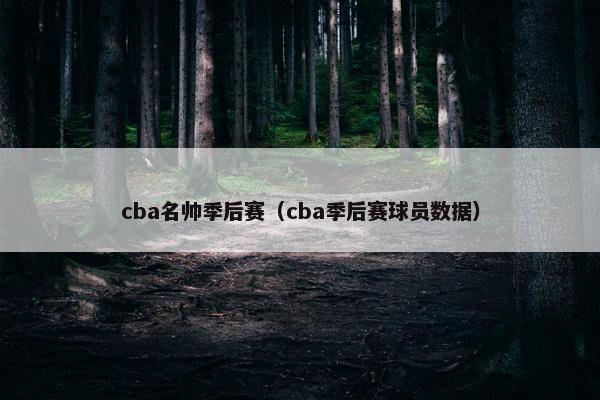 cba名帅季后赛（cba季后赛球员数据）