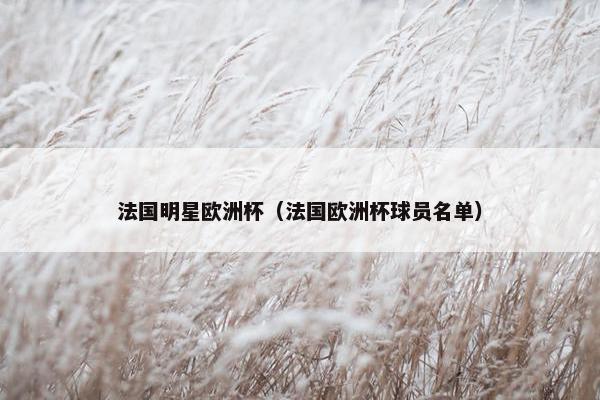 法国明星欧洲杯（法国欧洲杯球员名单）