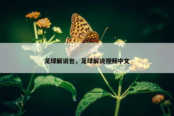 足球解说包，足球解说视频中文