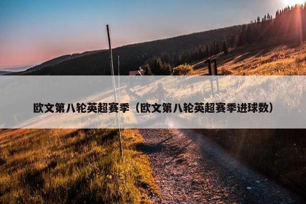 欧文第八轮英超赛季（欧文第八轮英超赛季进球数）