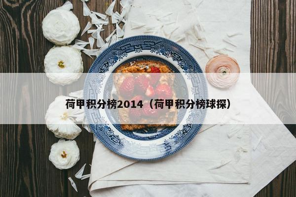 荷甲积分榜2014（荷甲积分榜球探）