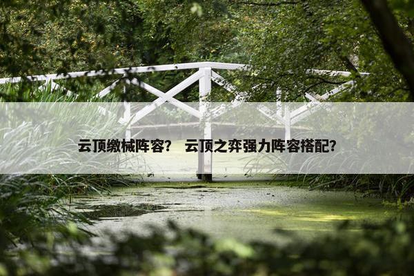 云顶缴械阵容？ 云顶之弈强力阵容搭配？