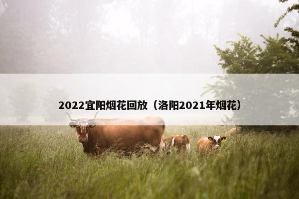 2022宜阳烟花回放（洛阳2021年烟花）