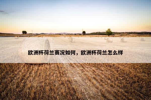 欧洲杯荷兰赛况如何，欧洲杯荷兰怎么样