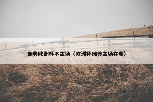 瑞典欧洲杯不主场（欧洲杯瑞典主场在哪）