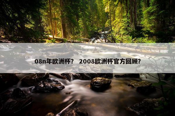 08n年欧洲杯？ 2008欧洲杯官方回顾？