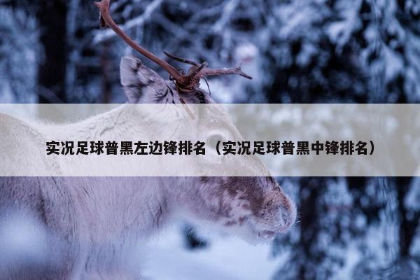 实况足球普黑左边锋排名（实况足球普黑中锋排名）