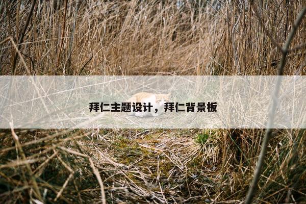 拜仁主题设计，拜仁背景板