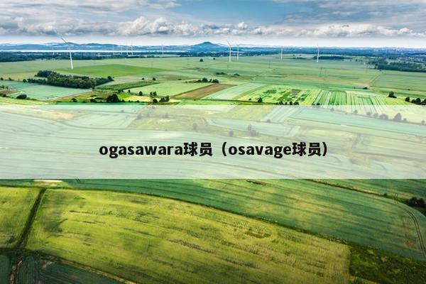 ogasawara球员（osavage球员）