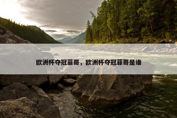 欧洲杯夺冠菲哥，欧洲杯夺冠菲哥是谁