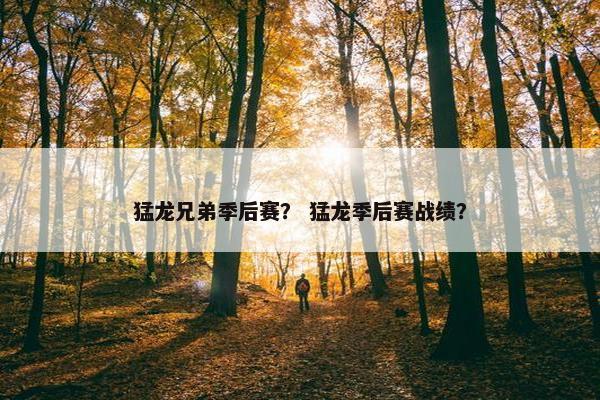 猛龙兄弟季后赛？ 猛龙季后赛战绩？