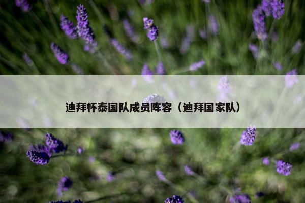 迪拜杯泰国队成员阵容（迪拜国家队）