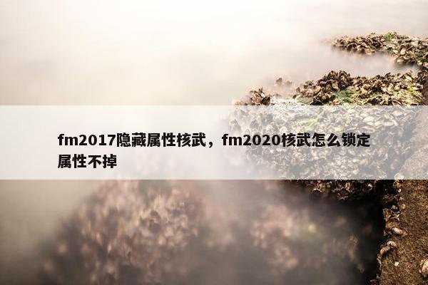 fm2017隐藏属性核武，fm2020核武怎么锁定属性不掉