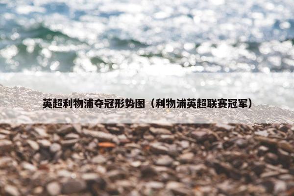 英超利物浦夺冠形势图（利物浦英超联赛冠军）