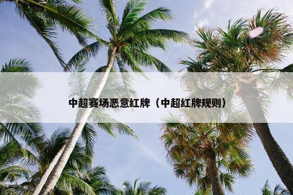 中超赛场恶意红牌（中超红牌规则）