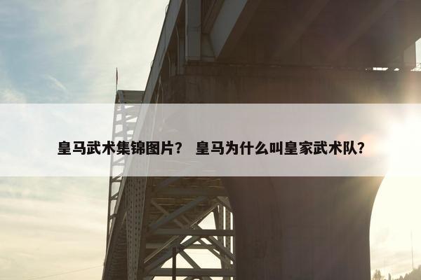 皇马武术集锦图片？ 皇马为什么叫皇家武术队？