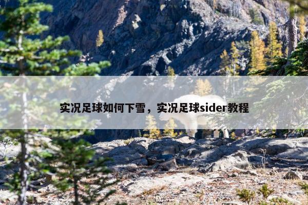 实况足球如何下雪，实况足球sider教程