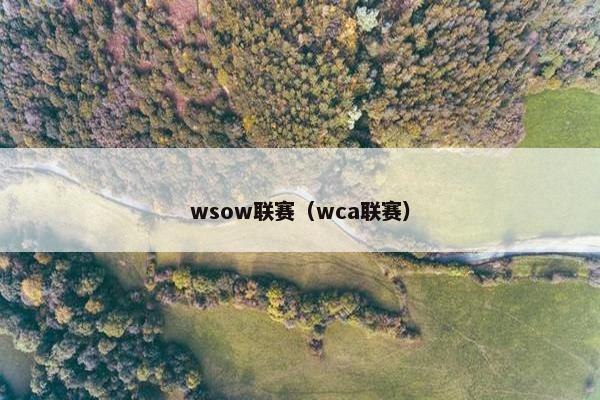 wsow联赛（wca联赛）