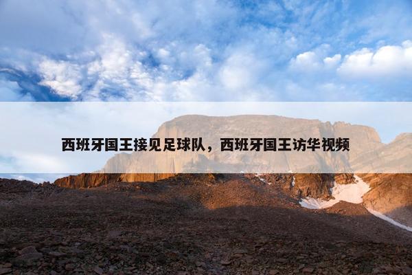 西班牙国王接见足球队，西班牙国王访华视频
