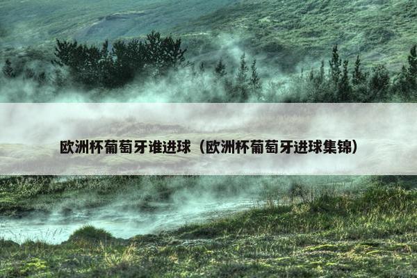 欧洲杯葡萄牙谁进球（欧洲杯葡萄牙进球集锦）