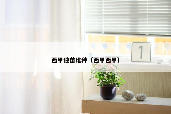 西甲独苗谁种（西甲西甲）