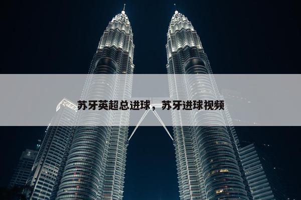 苏牙英超总进球，苏牙进球视频
