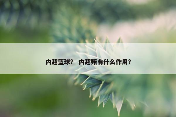 内超篮球？ 内超赔有什么作用？