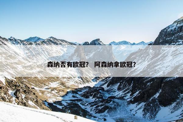 森纳否有欧冠？ 阿森纳拿欧冠？