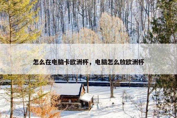 怎么在电脑卡欧洲杯，电脑怎么放欧洲杯