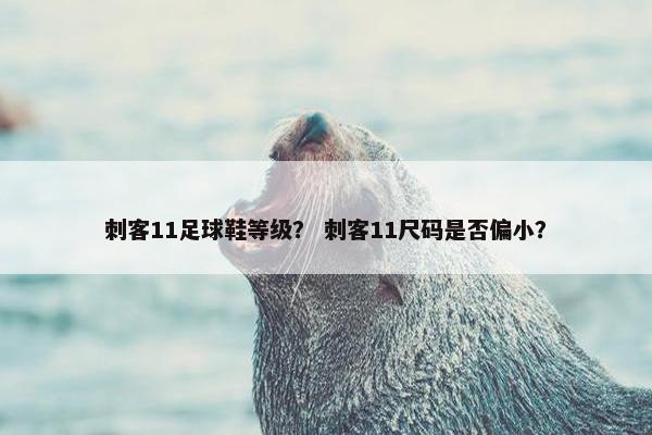 刺客11足球鞋等级？ 刺客11尺码是否偏小？