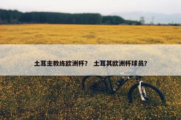 土耳主教练欧洲杯？ 土耳其欧洲杯球员？