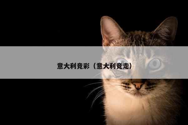 意大利竞彩（意大利竞走）