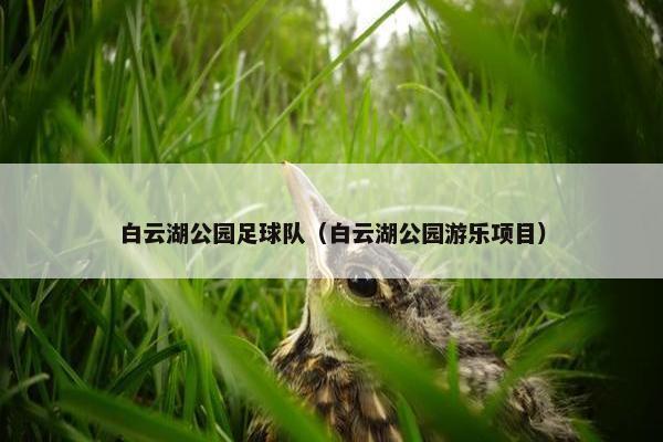 白云湖公园足球队（白云湖公园游乐项目）
