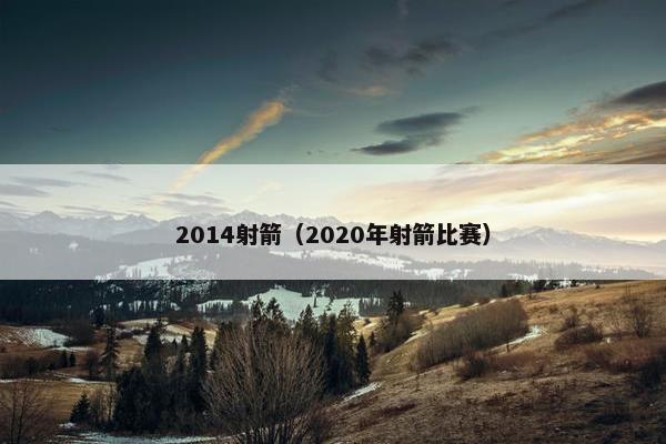 2014射箭（2020年射箭比赛）