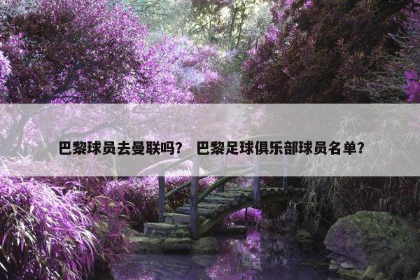 巴黎球员去曼联吗？ 巴黎足球俱乐部球员名单？