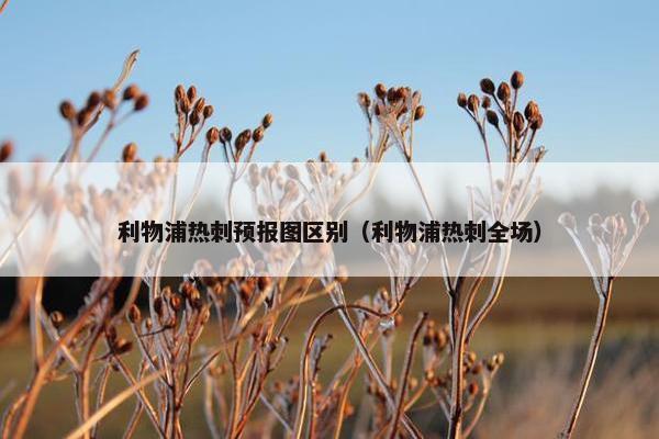 利物浦热刺预报图区别（利物浦热刺全场）
