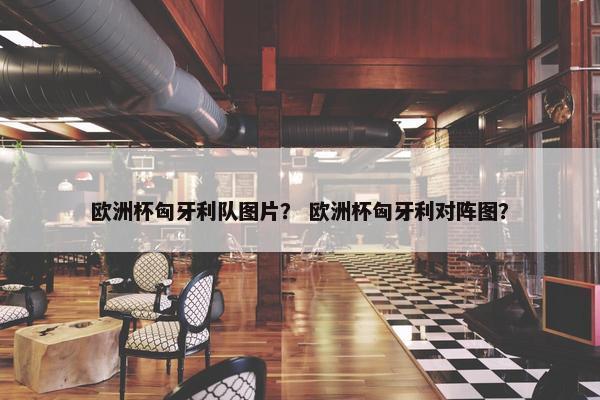 欧洲杯匈牙利队图片？ 欧洲杯匈牙利对阵图？