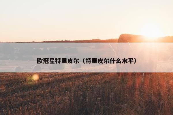 欧冠星特里皮尔（特里皮尔什么水平）