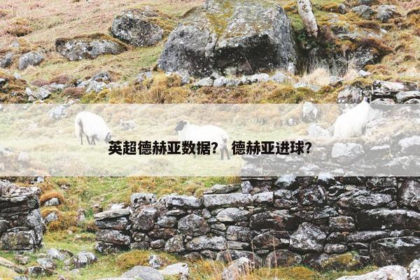 英超德赫亚数据？ 德赫亚进球？