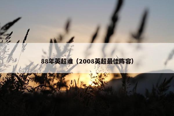 88年英超谁（2008英超最佳阵容）