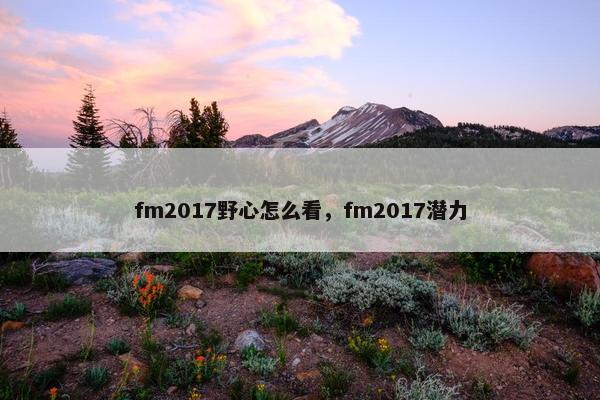fm2017野心怎么看，fm2017潜力