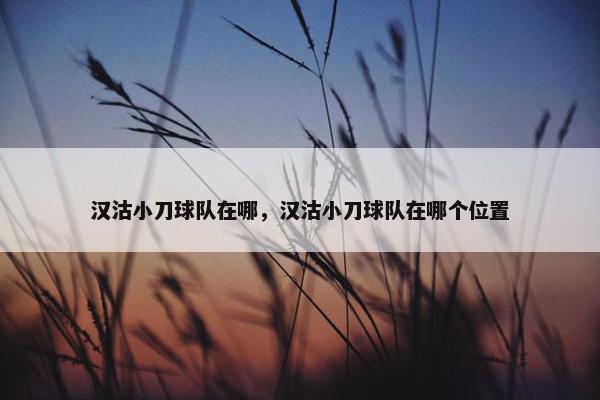 汉沽小刀球队在哪，汉沽小刀球队在哪个位置