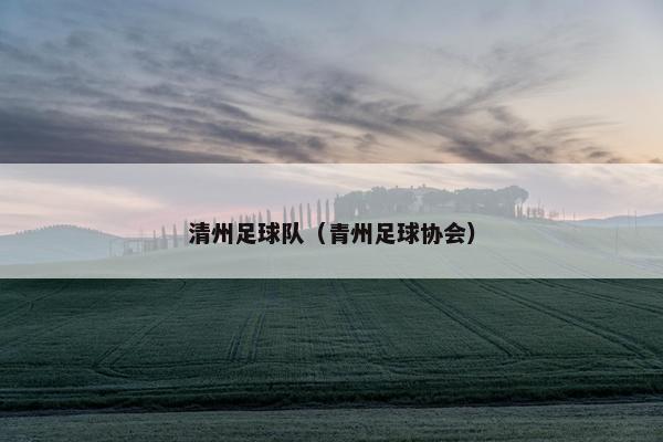 清州足球队（青州足球协会）