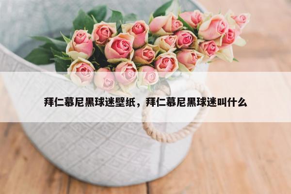 拜仁慕尼黑球迷壁纸，拜仁慕尼黑球迷叫什么