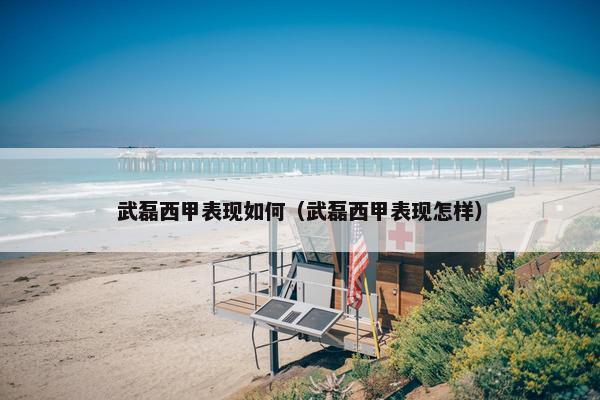 武磊西甲表现如何（武磊西甲表现怎样）
