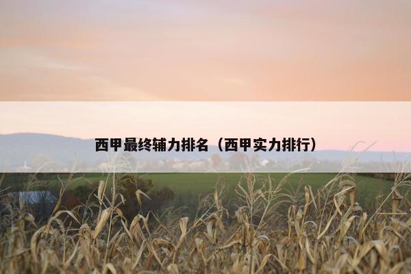 西甲最终辅力排名（西甲实力排行）