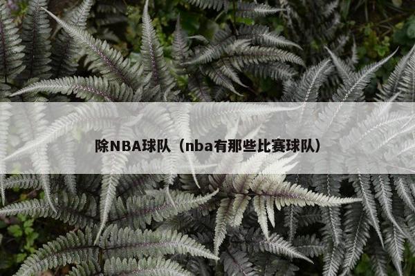 除NBA球队（nba有那些比赛球队）