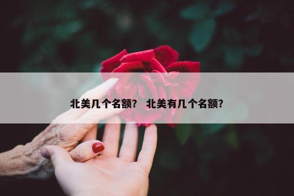 北美几个名额？ 北美有几个名额？